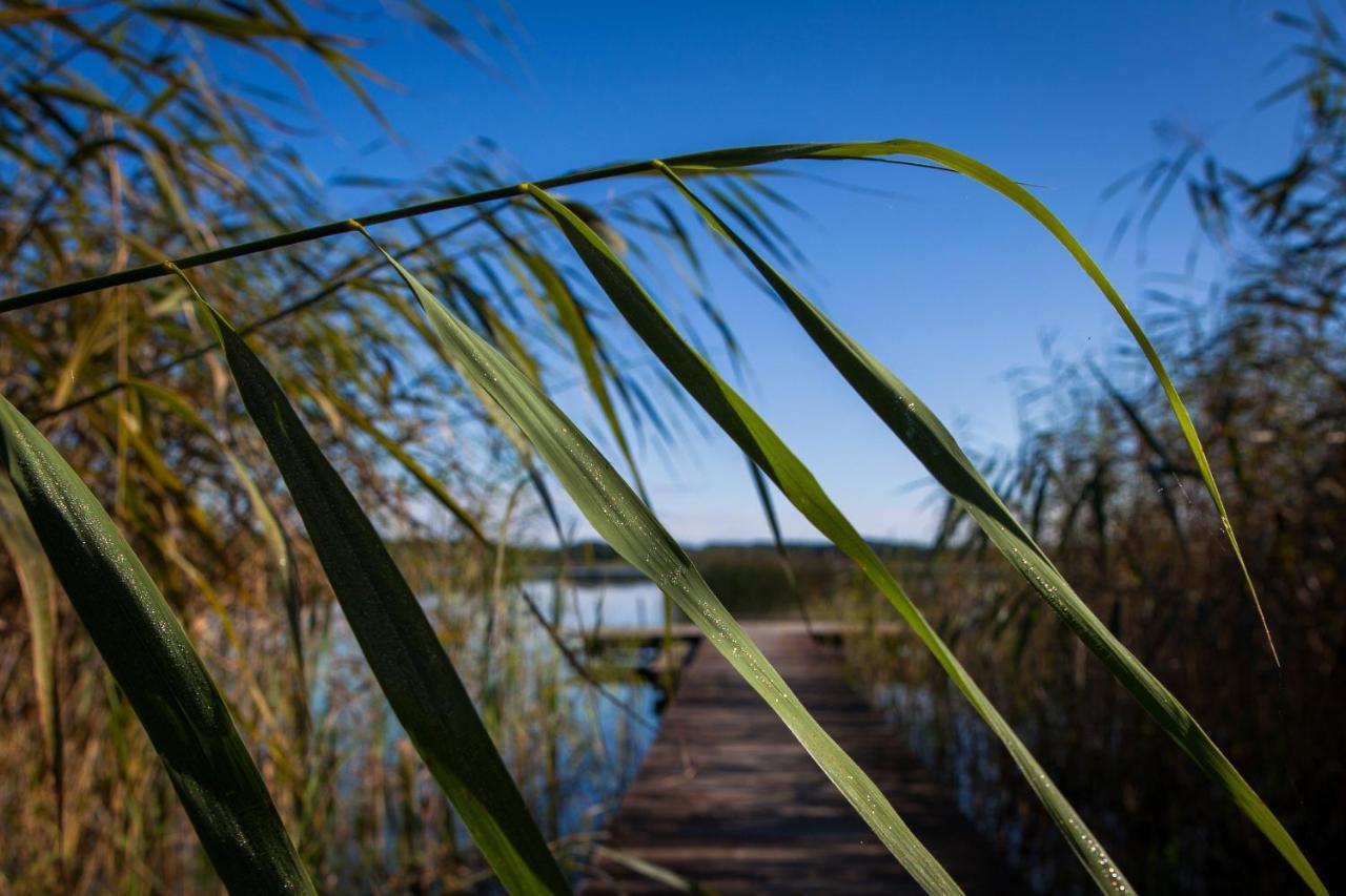 Saski Zakatek, Wakacje W Bajkowym Domku!!! Mazury, Sauna, Jezioro, Pomost, Sasek Maly Extérieur photo