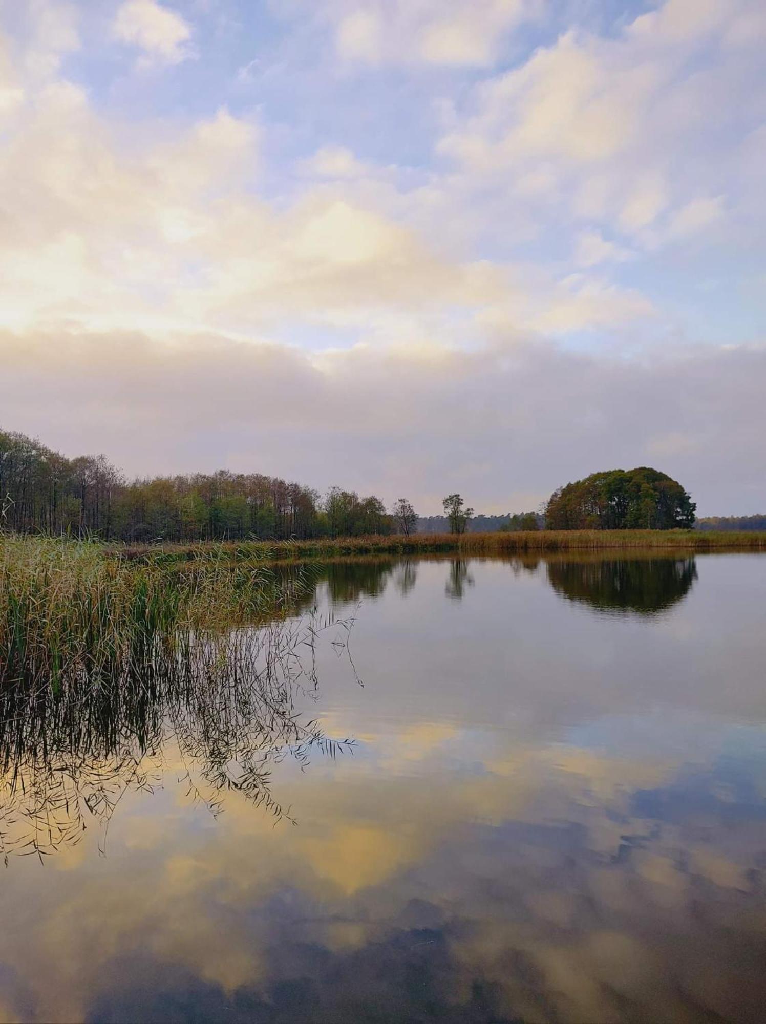 Saski Zakatek, Wakacje W Bajkowym Domku!!! Mazury, Sauna, Jezioro, Pomost, Sasek Maly Extérieur photo
